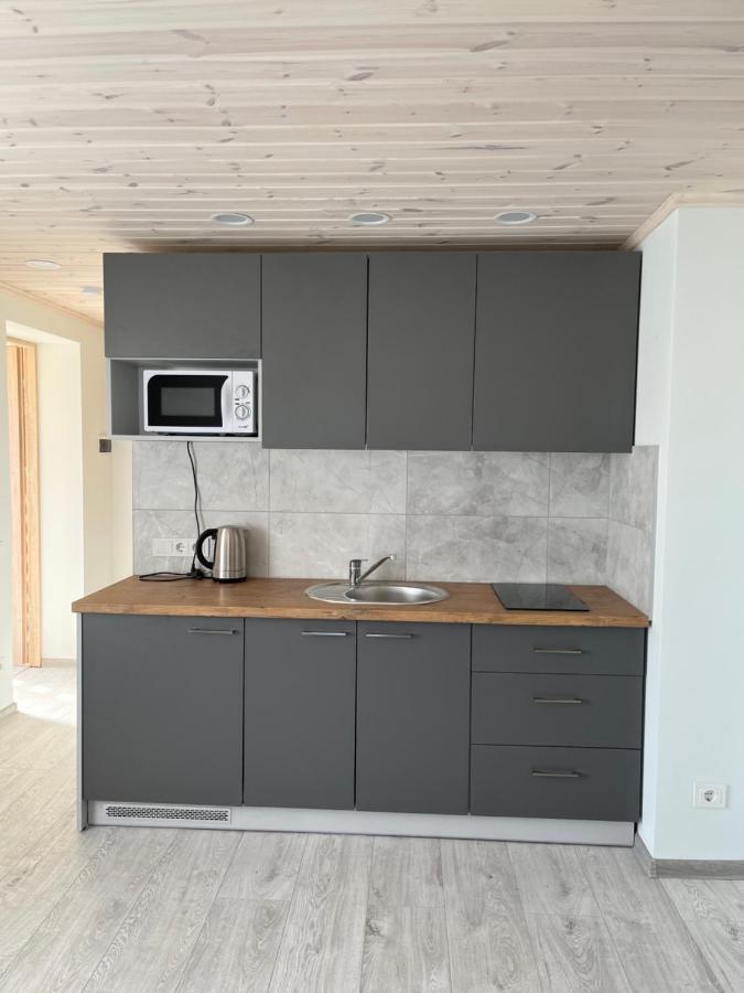 Ska Anyksciai Appartement Buitenkant foto